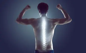 Image of a spine