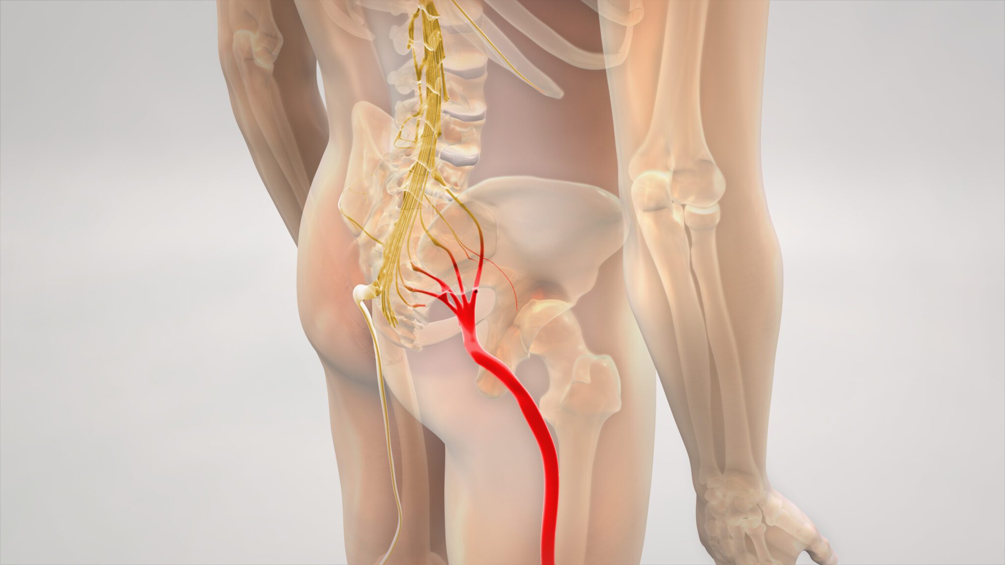https://spinehealth.org/wp-content/uploads/2023/01/do-i-have-sciatica-scaled.jpg