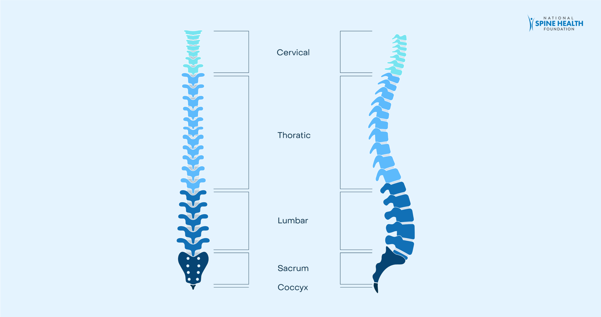 cervical spine x ray ctl