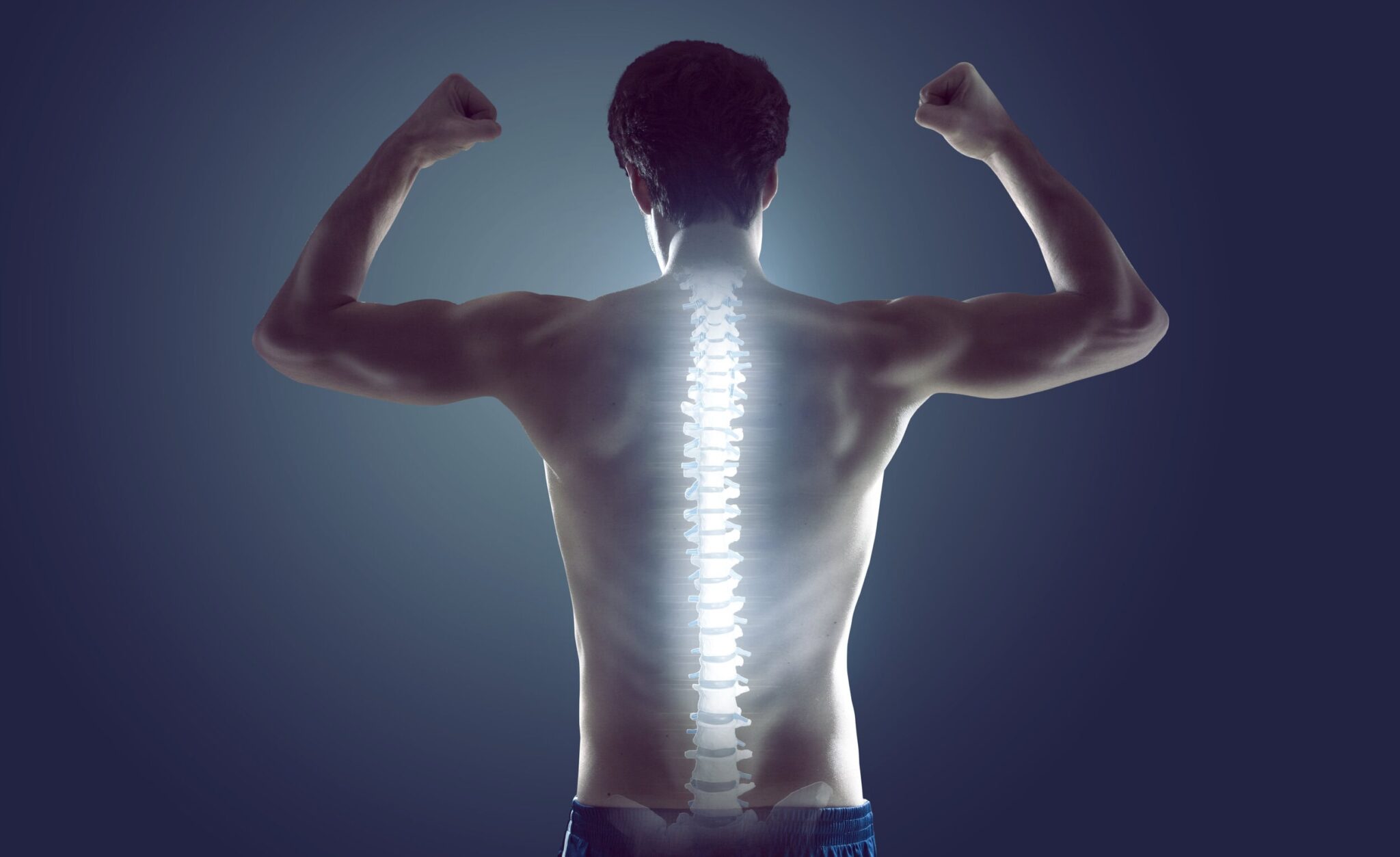 Image of a spine